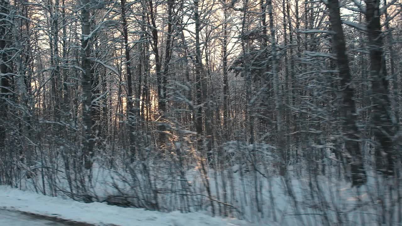 冬雪路上有松树、白桦林和田野。空旷的高速公路穿过冬季森林。汽车在路上超速行驶。侧窗视图的汽车在运动。旅游，旅行，旅行概念视频素材