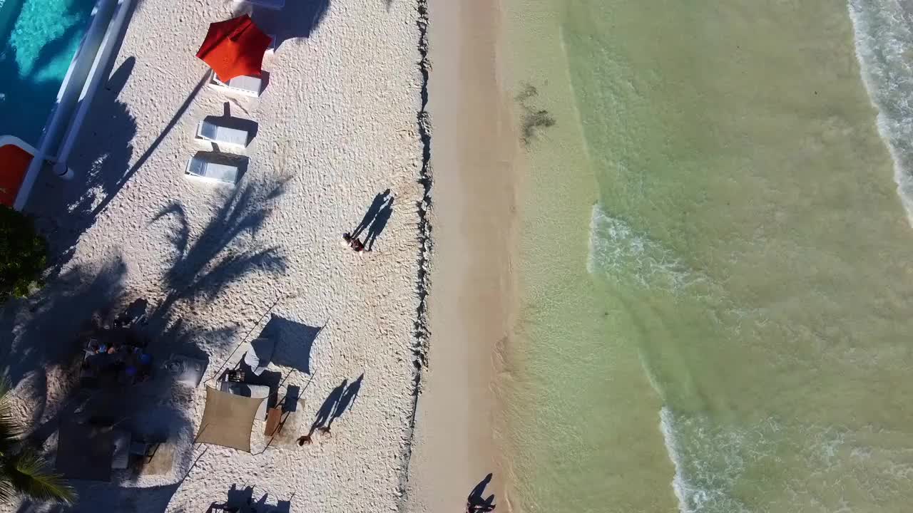 从空中在海滩上度过一天视频素材