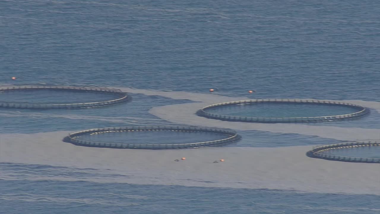 空中浮石漂浮在海上农场，冲绳，日本视频素材