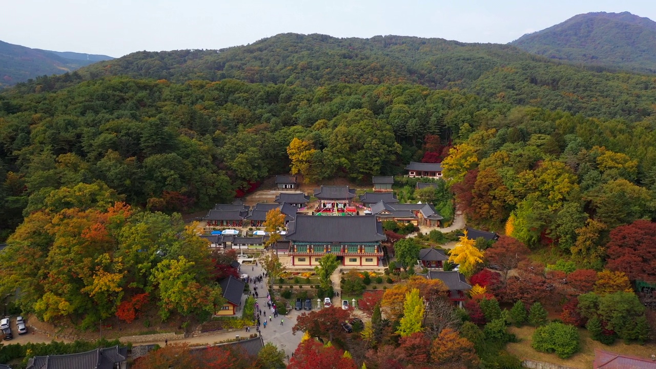 韩国京畿道南杨州市奉仙寺的秋景视频素材