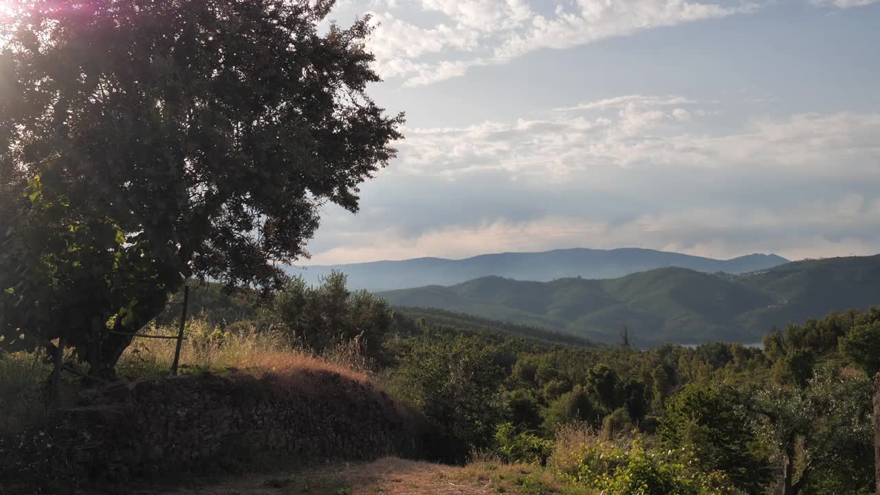 乡村风景与树木，山脉和一条河视频素材