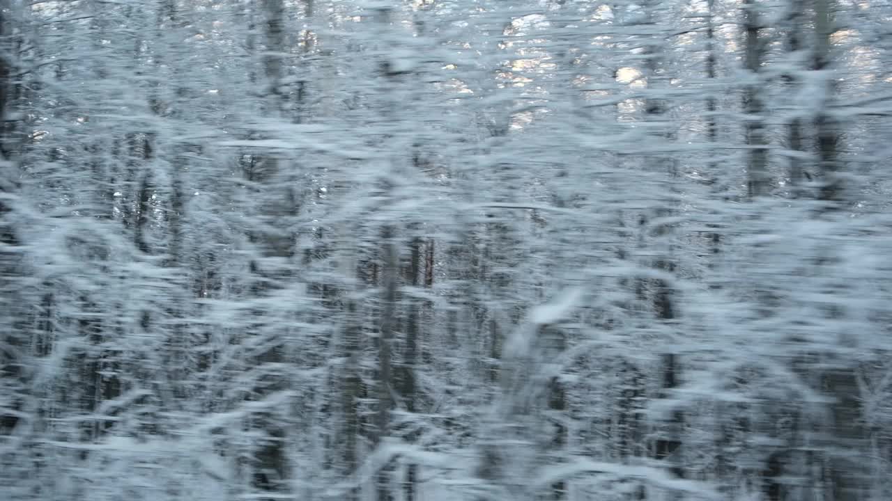 积雪的冬季道路上有松树、桦树林和田野。风景和空旷的公路穿过冬天的森林。汽车在道路上超速行驶。侧窗视图的汽车在运动。旅游、旅游、旅行的概念视频素材