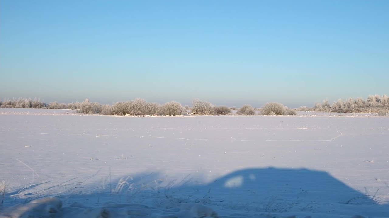 冬雪路上有松树、白桦林和田野。空旷的高速公路穿过冬季森林。汽车在路上超速行驶。侧窗视图的汽车在运动。旅游，旅行，旅行概念视频素材