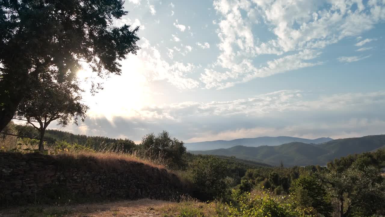 乡村风景与树木，山脉和一条河视频素材