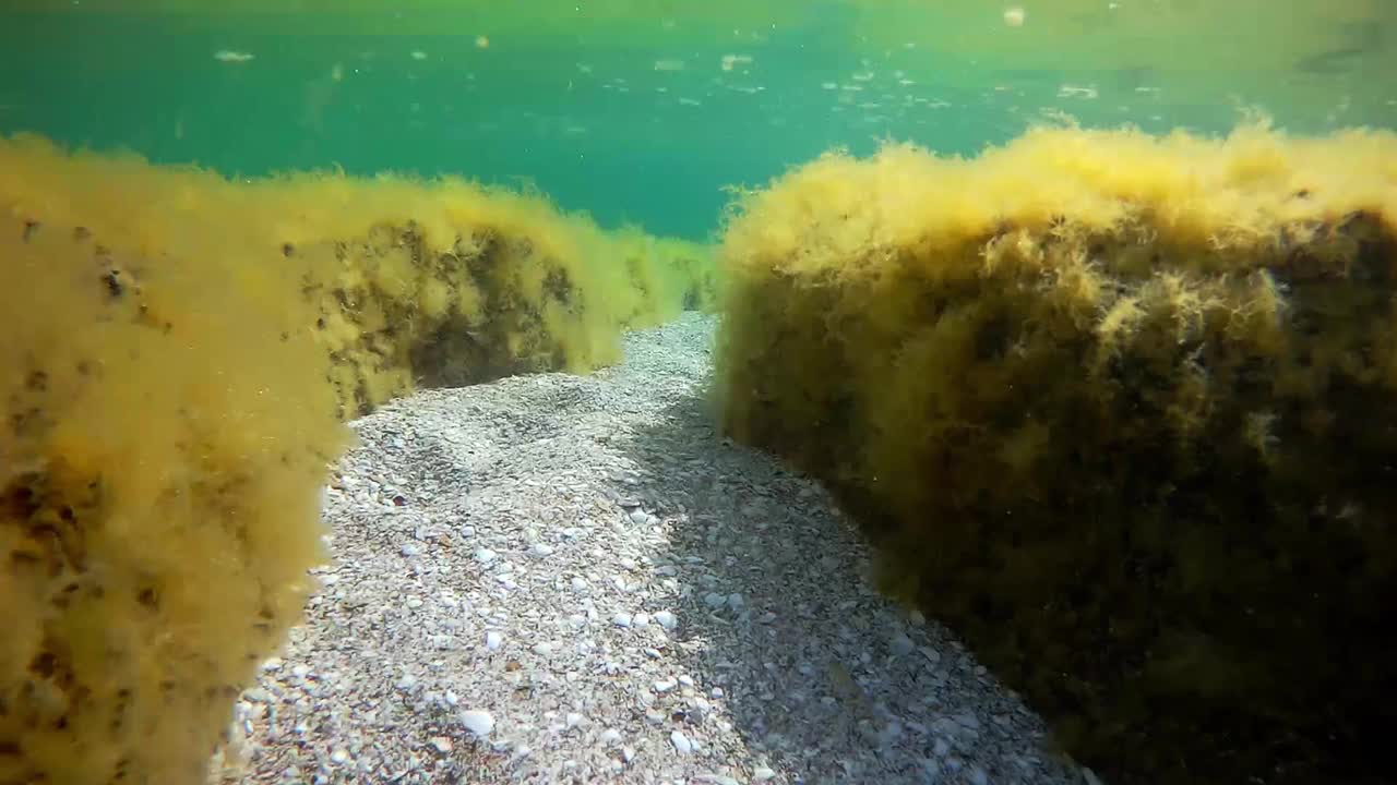 在海里的水下路径。视频素材