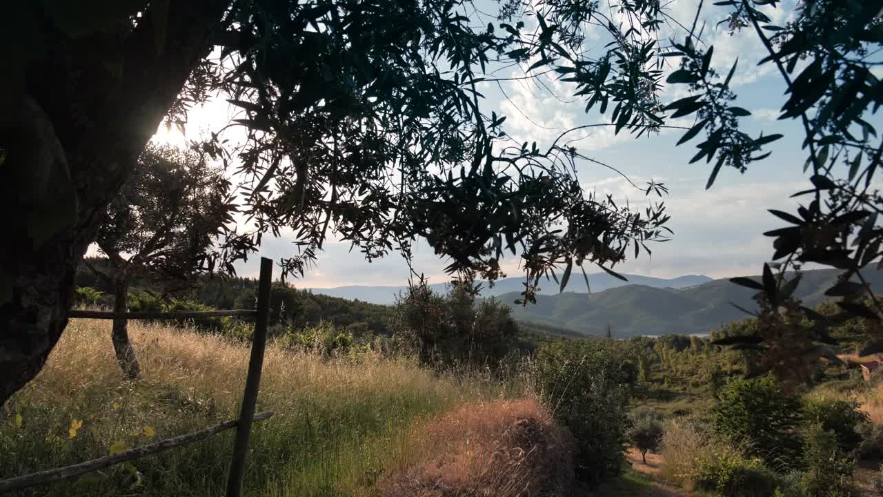 乡村风景与树木，山脉和一条河视频素材