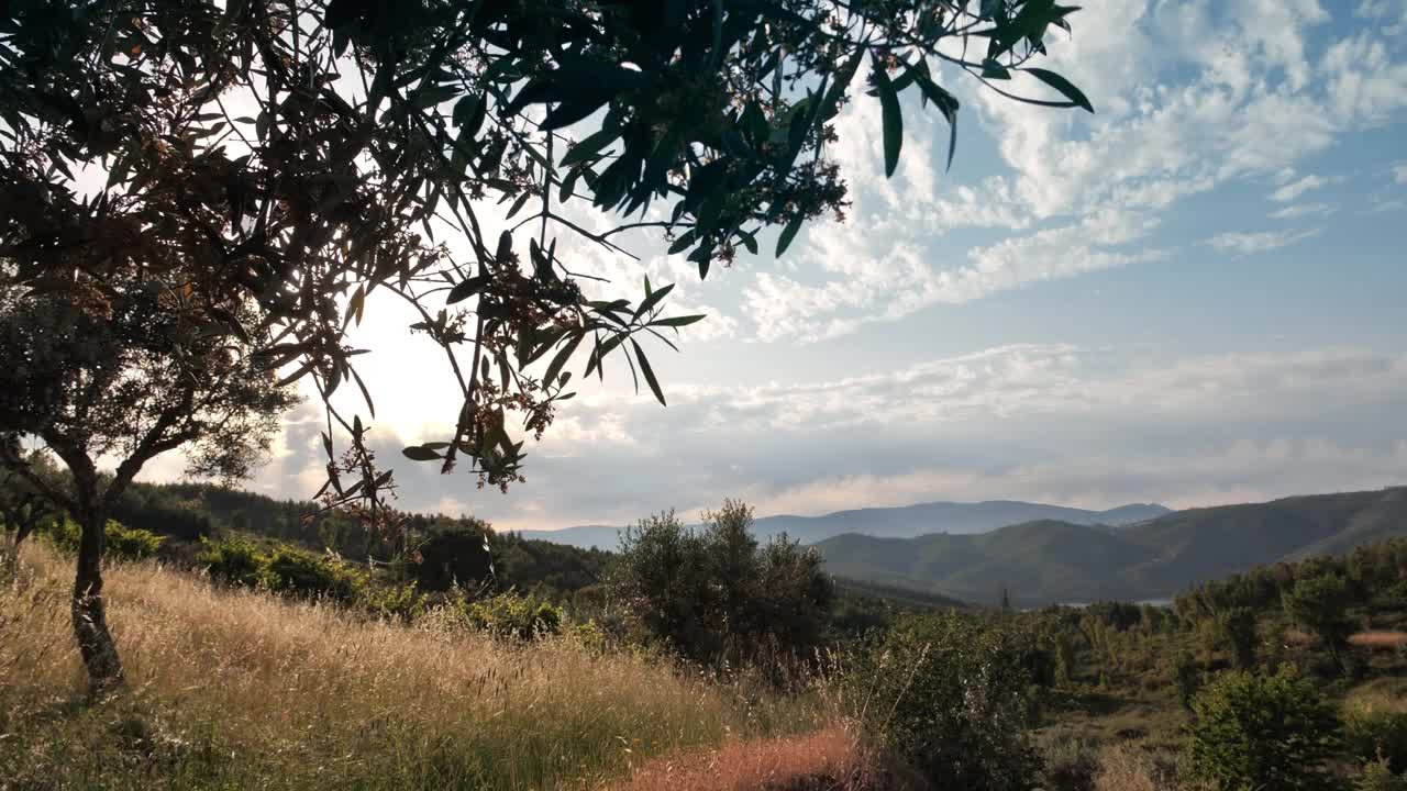 乡村风景与树木，山脉和一条河视频素材