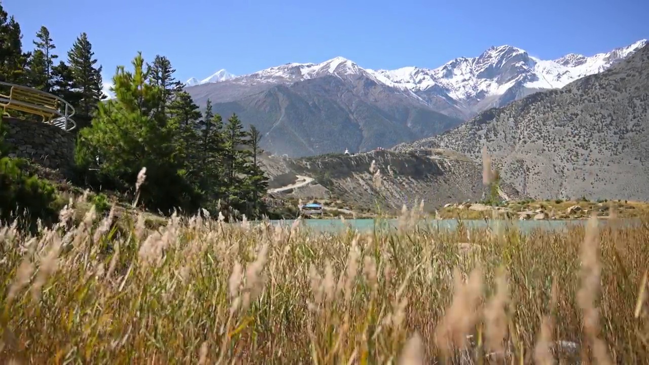 丹巴湖和喜马拉雅山，在尼泊尔的野马区视频素材