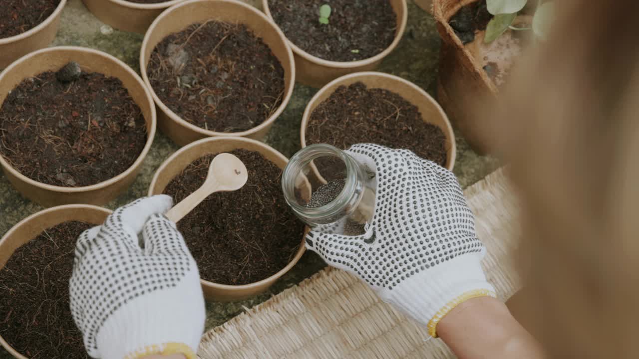 年轻人的可持续生活方式，同时使用可重复使用的包装，在家种植。视频素材