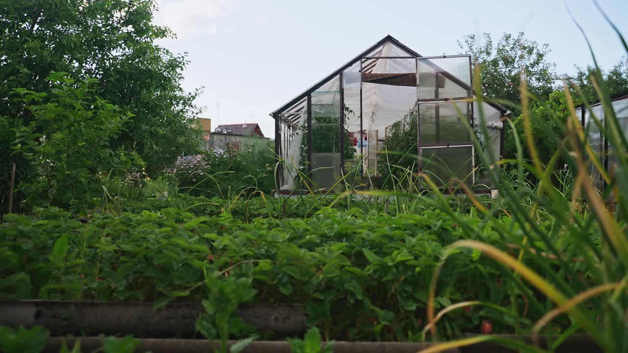 花园里传统的老温室。视频素材