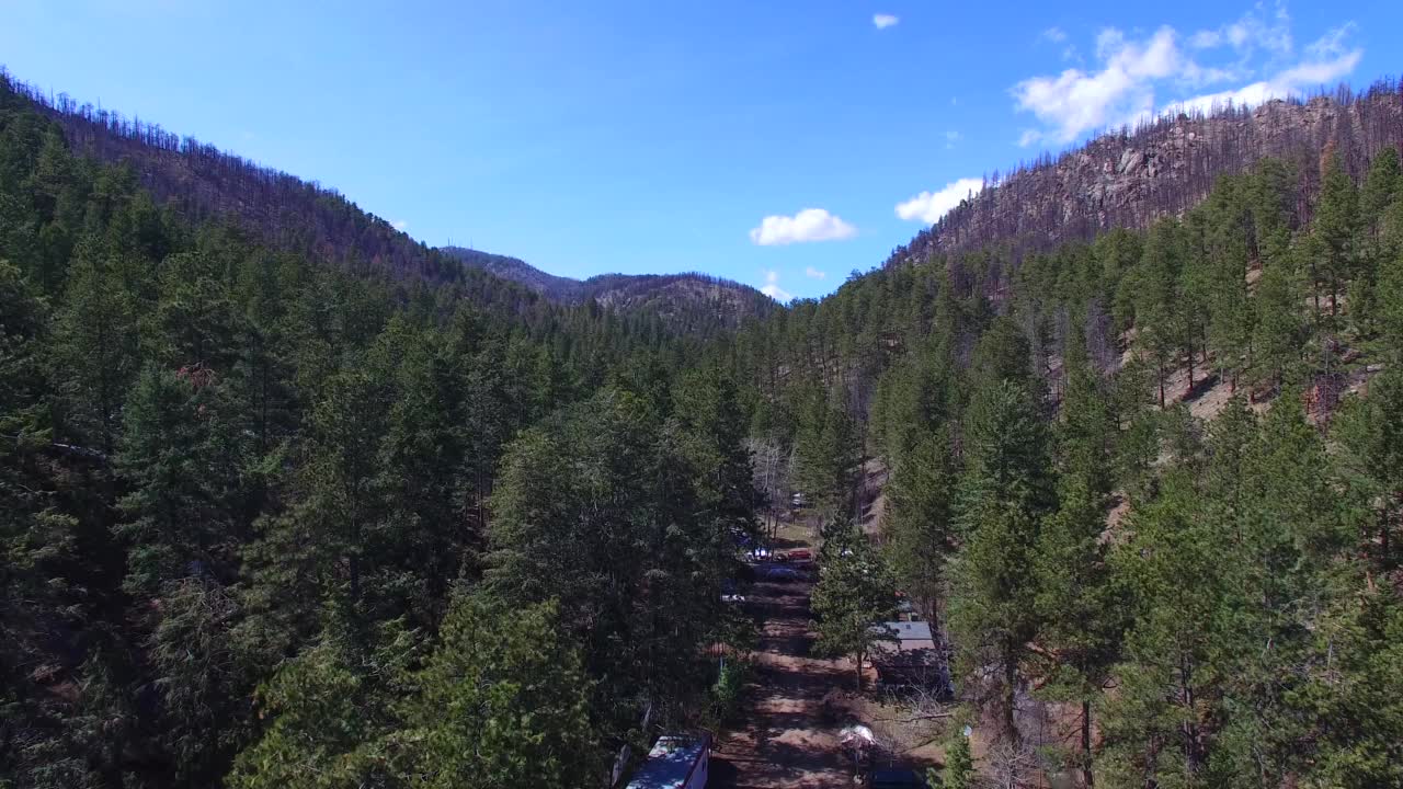 森林和天空的风景/美国视频素材