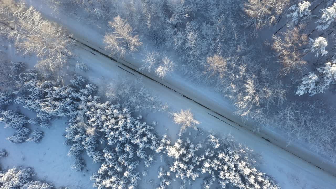 汽车在冬季沥青路上移动，鸟瞰图视频素材