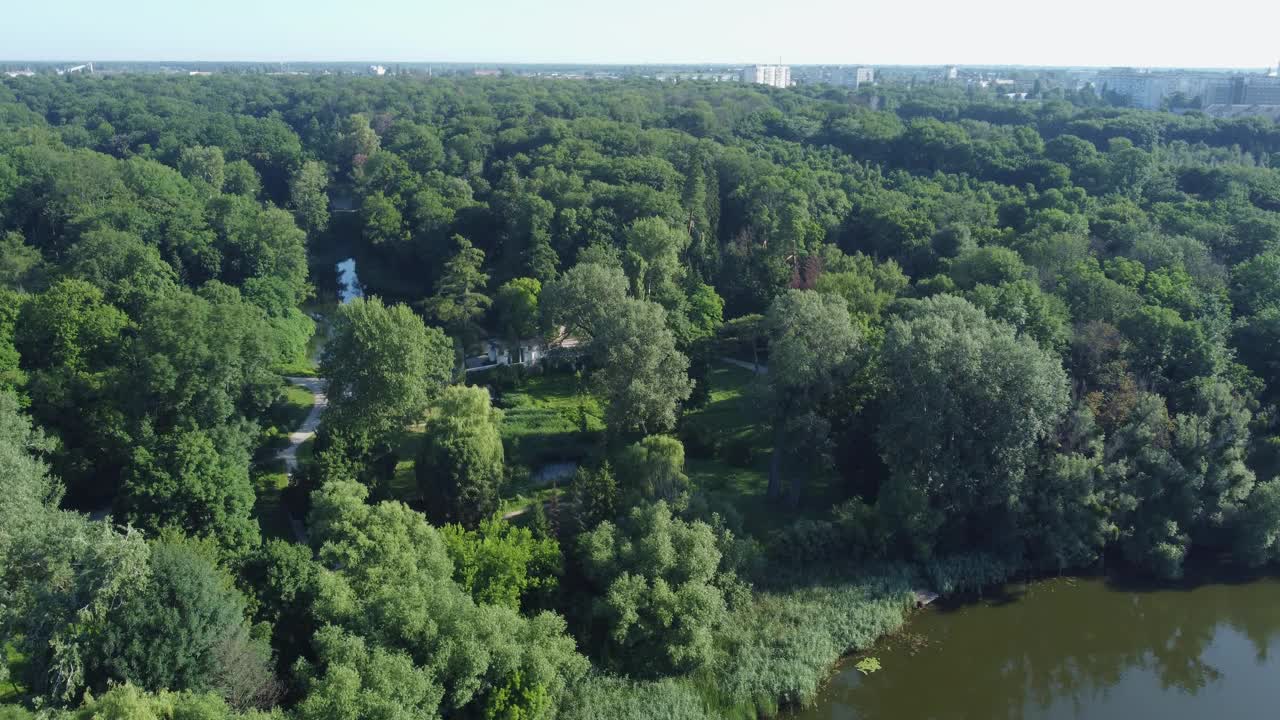 在夏日阳光明媚的早晨，鸟瞰老公园的湖泊视频素材