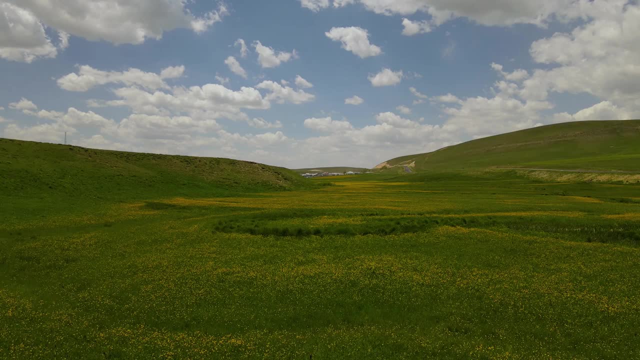 高山草甸视频素材