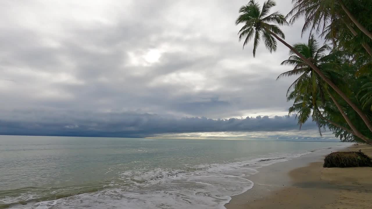 热带海滩上的暴雨云和棕榈树叶视频素材