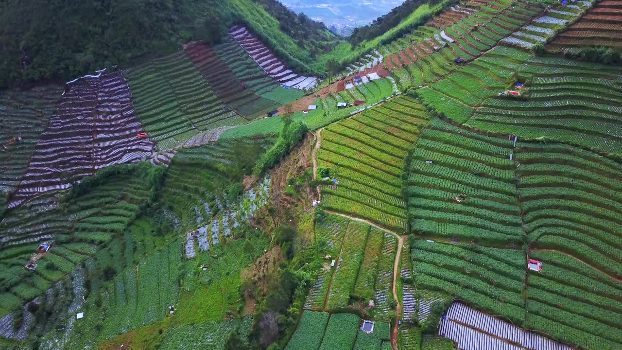 迪昂高原美丽的梯田视频素材