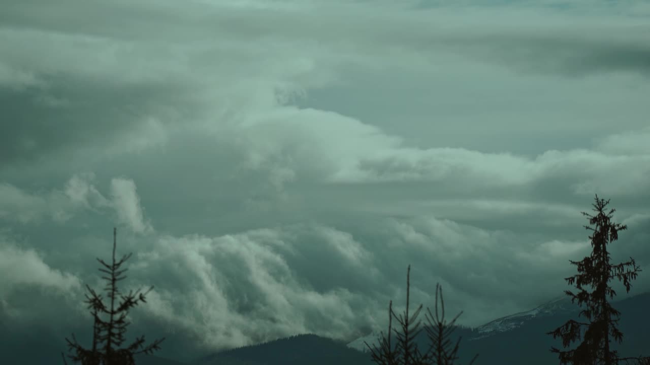 美丽的雾霭缭绕的风景，在低云缭绕的山上有一片黑暗的森林。针叶树在神秘的浓雾中，气氛阴郁视频素材