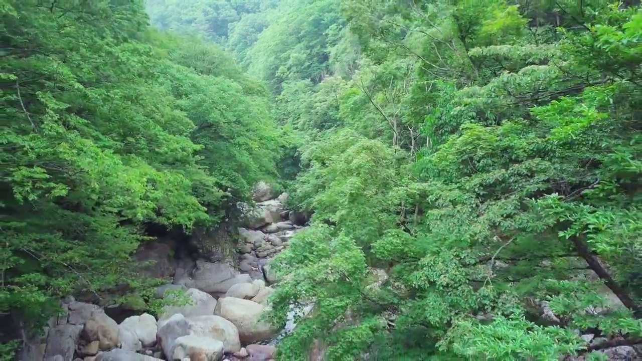 七仙谷——韩国庆尚南道咸阳郡智异山的山谷水流和森林视频素材