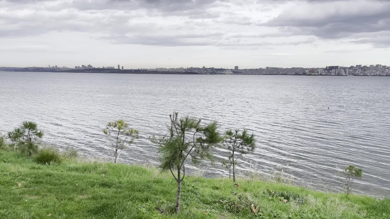 在多云的天气和冬季，从库库切克米斯湖看到的自然景观视频素材