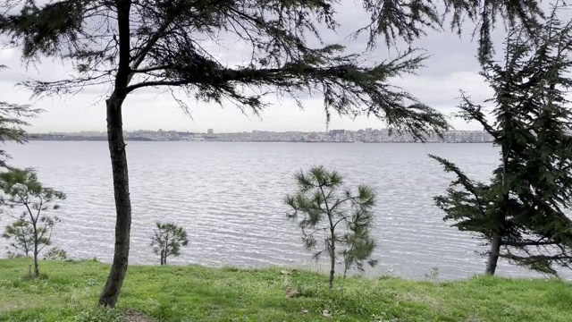 在多云的天气和冬季，从库库切克米斯湖看到的自然景观视频素材