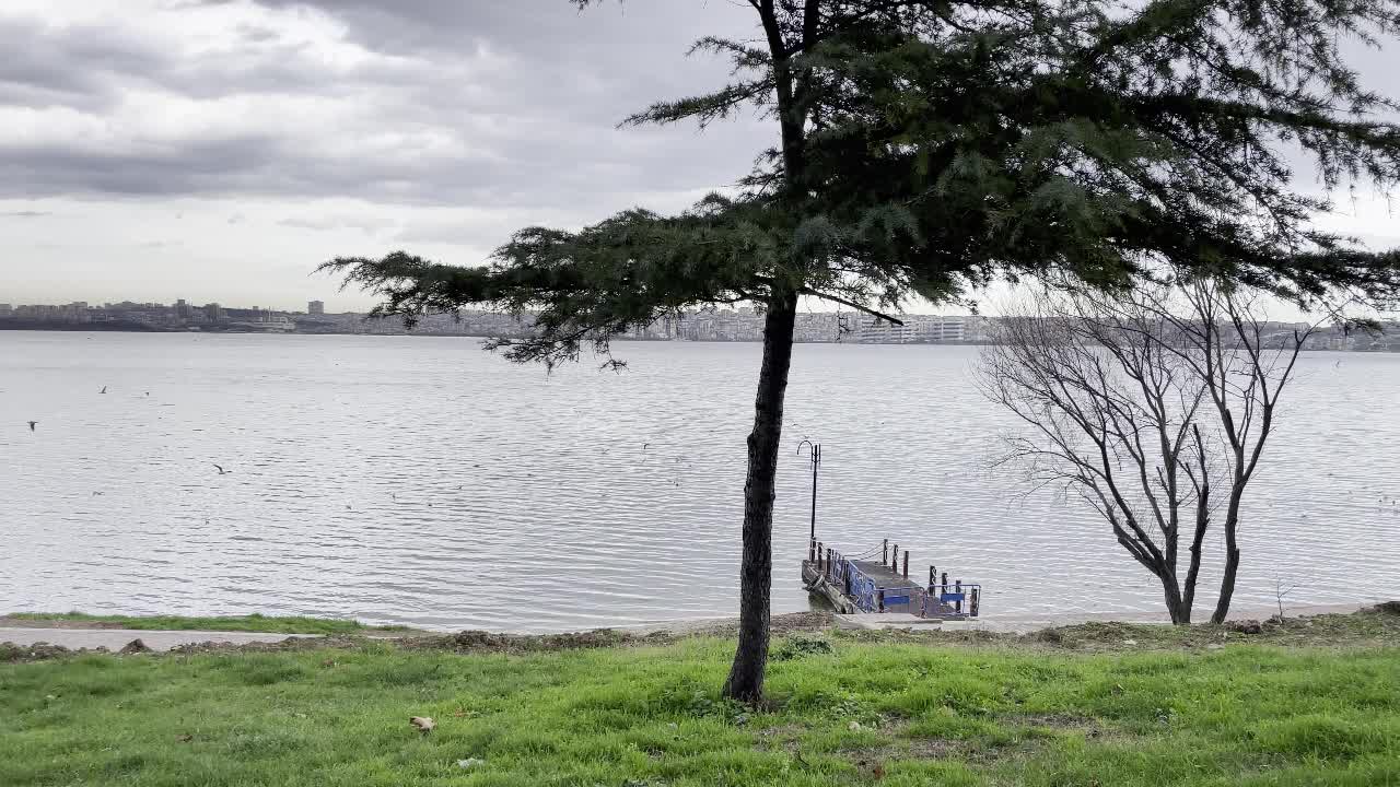 在多云的天气和冬季，从库库切克米斯湖看到的自然景观视频素材