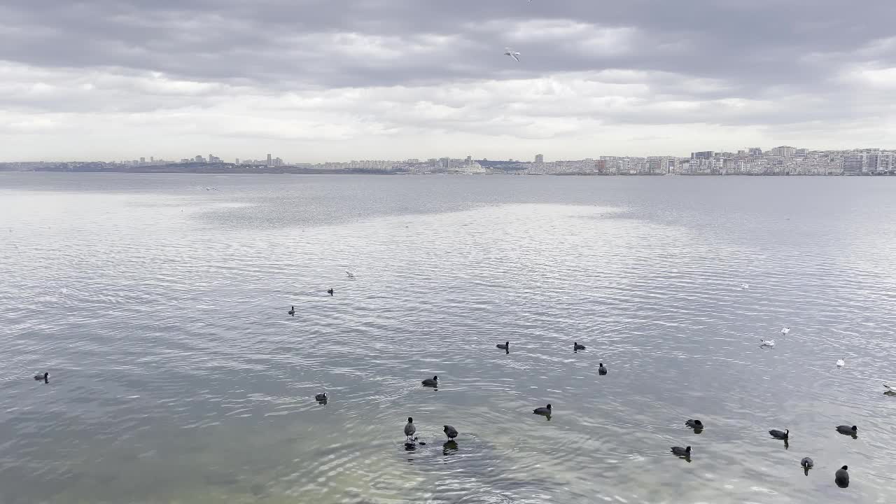 在多云的天气和冬季，从库库切克米斯湖看到的自然景观视频素材