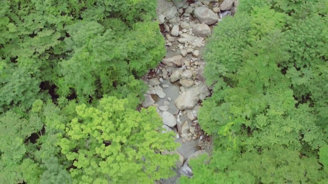 七仙谷——韩国庆尚南道咸阳郡智异山的山谷水流和森林视频素材