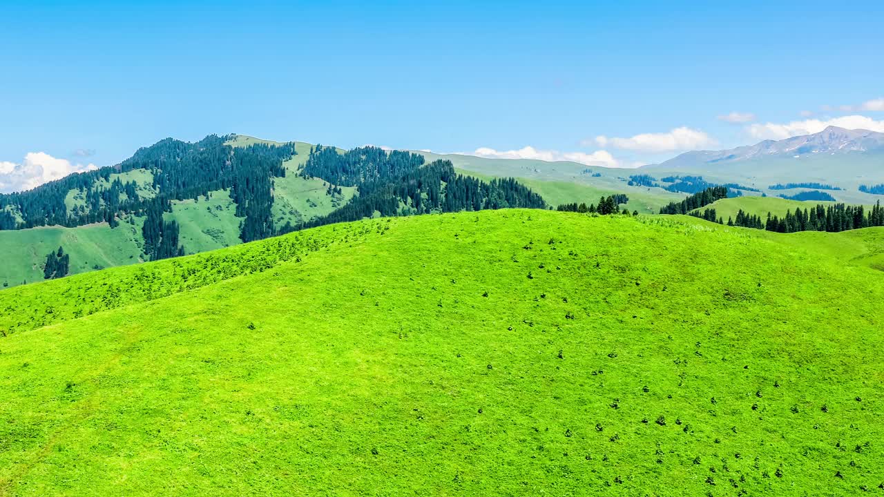 绿草如茵，青山绿水，蓝天碧水。新疆美丽的草原景观视频素材