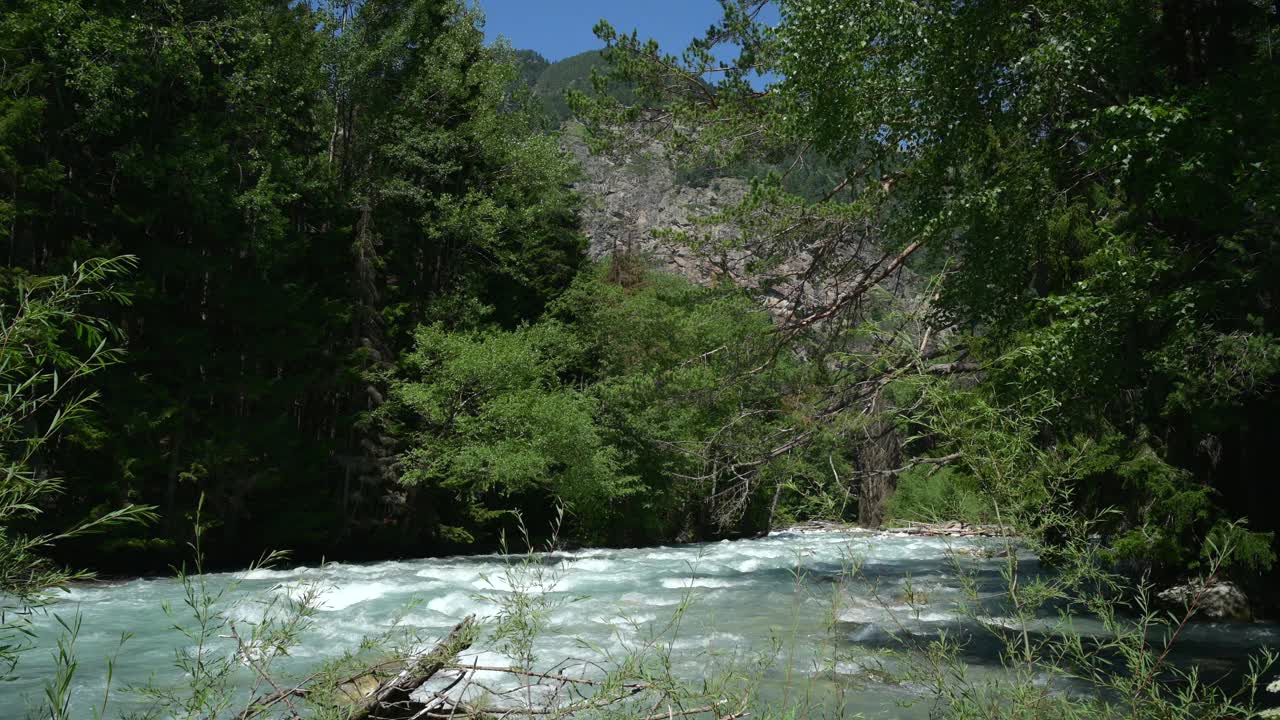 山中河中夏绿林视频素材