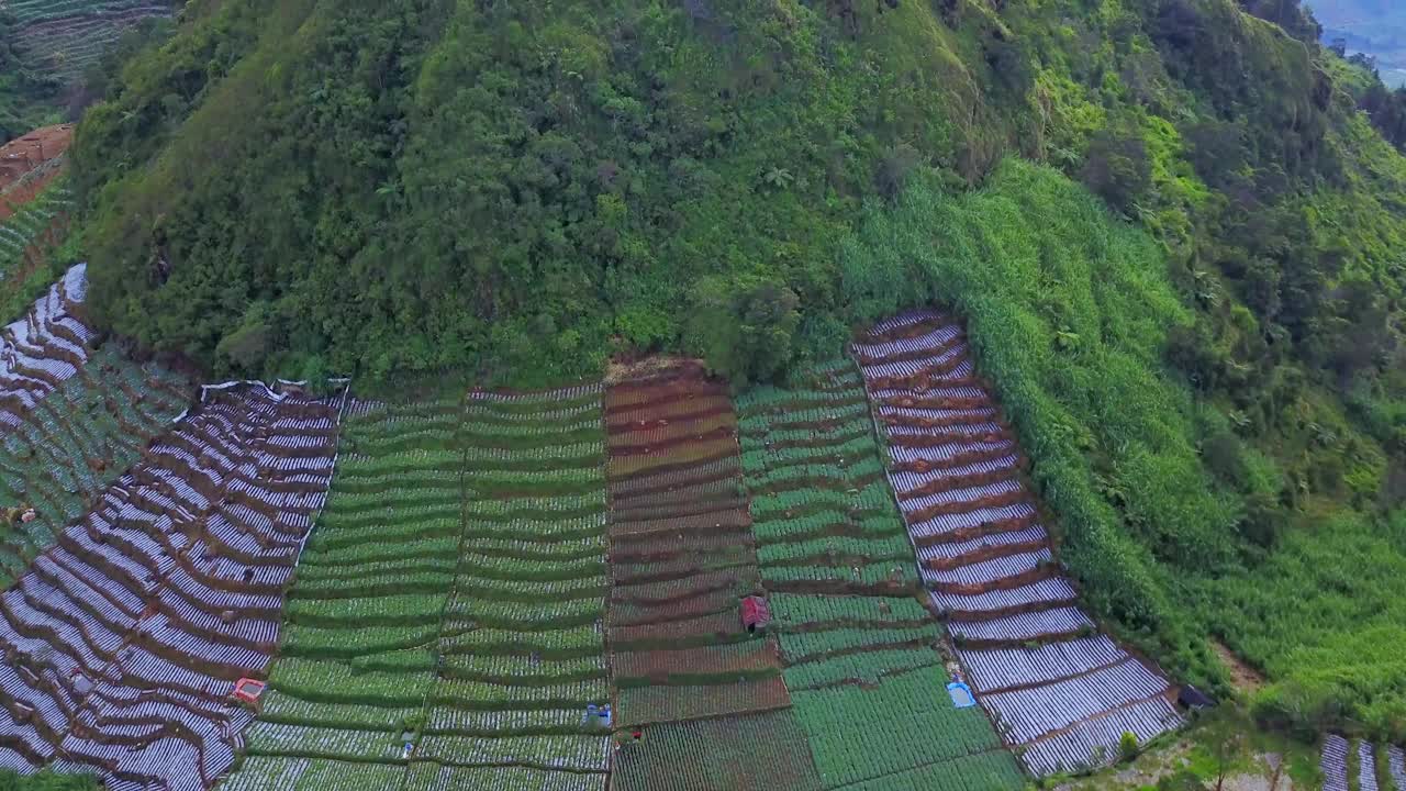 迪昂高原的梯田视频素材