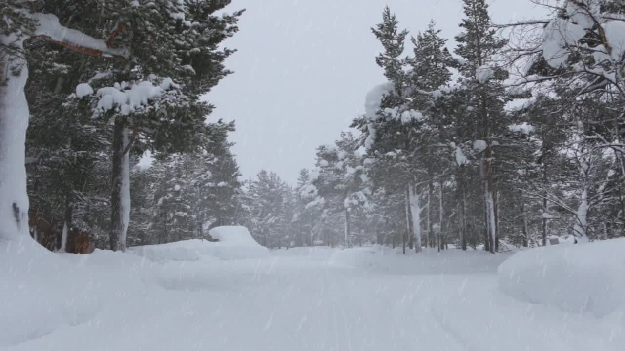 下雪时森林道路上的慢镜头视频素材