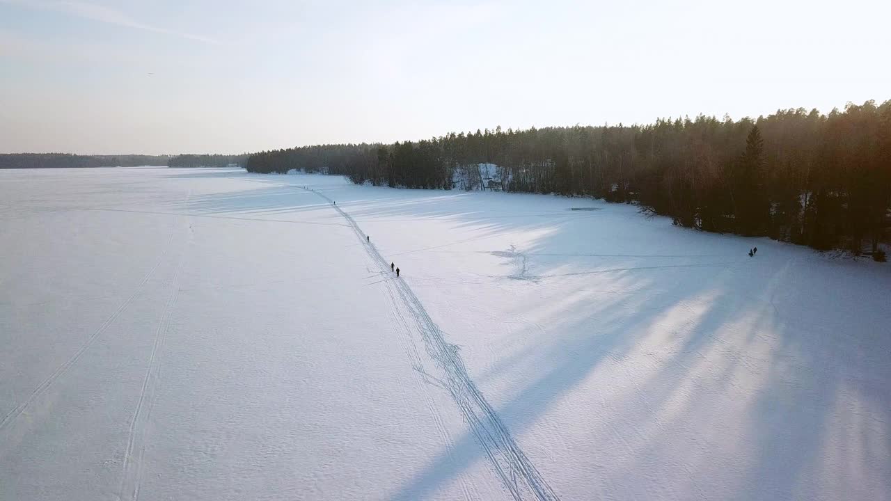 芬兰森林地面被厚厚的白雪覆盖的景象视频素材