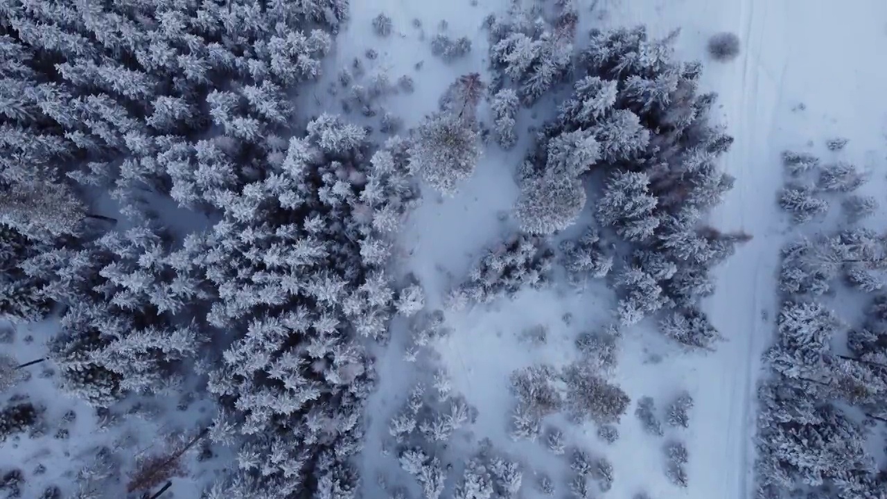 雪地里的小路视频素材