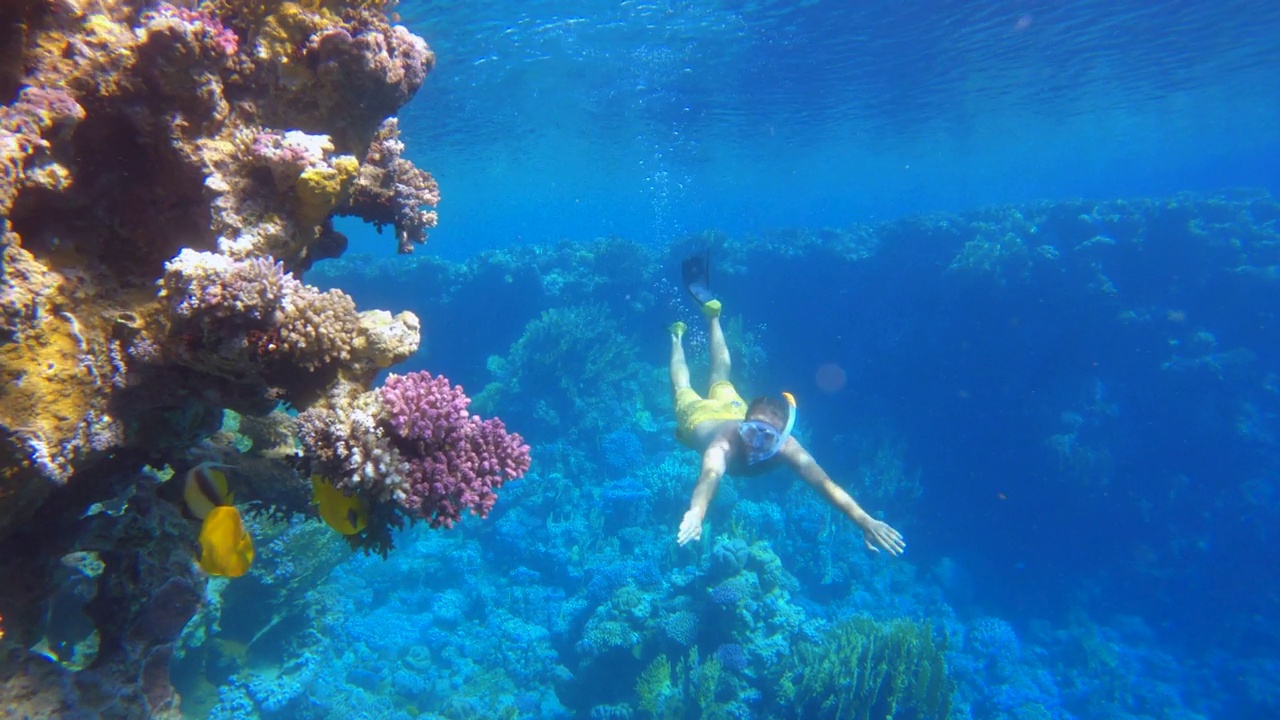 慢镜头:一个年轻人在度假时浮潜。男性享受浮潜之旅潜水水下探索多彩的珊瑚礁视频素材