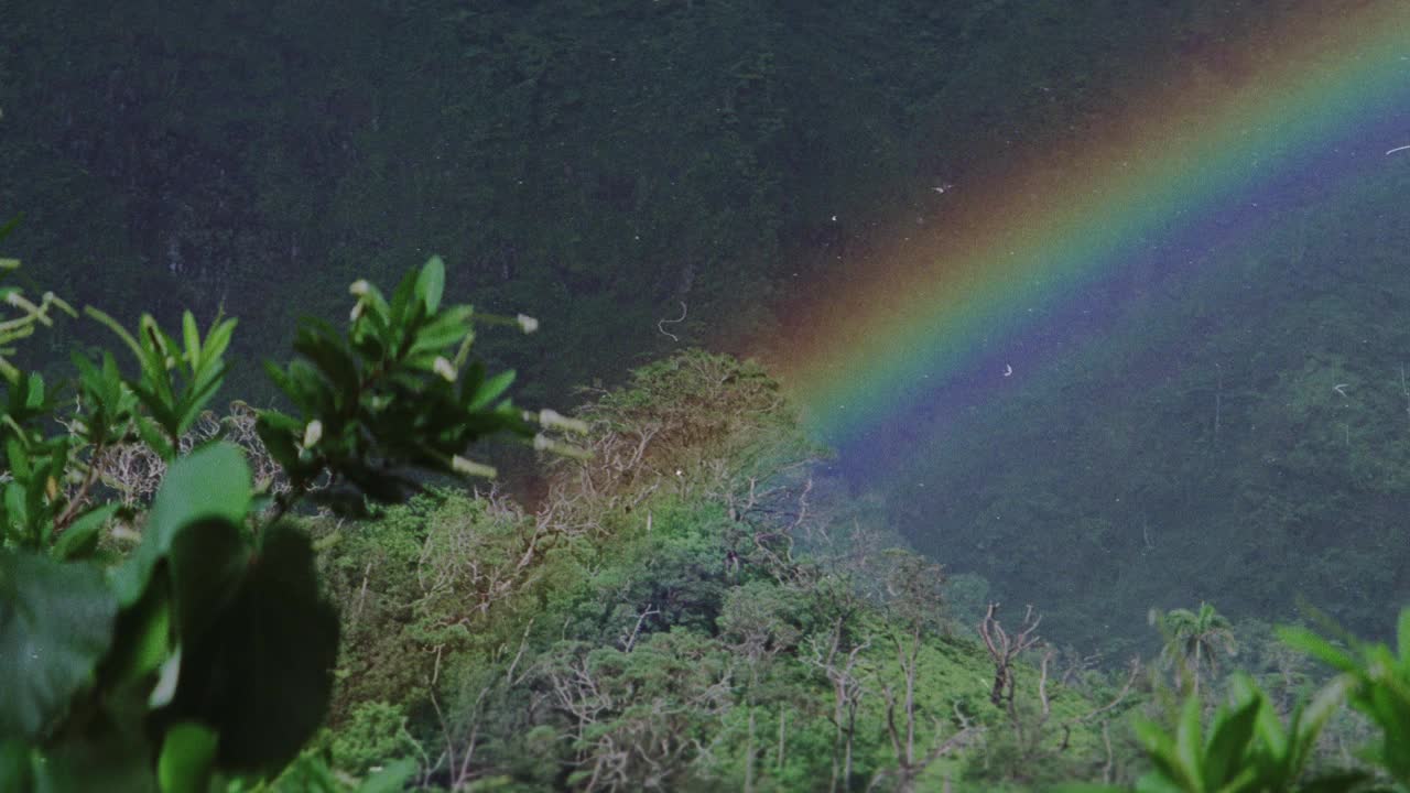 山谷上方部分彩虹的广角。雾或雾。热带植物和树木。视频素材