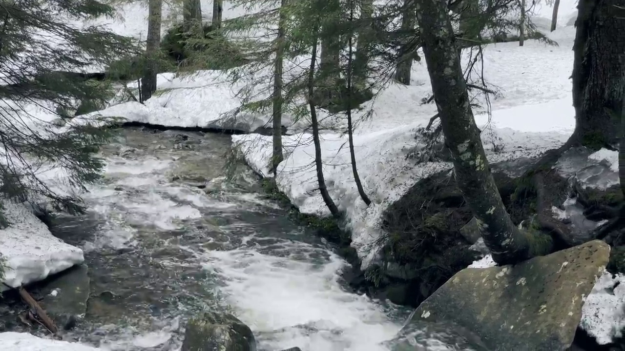 河流湍急，冬季森林雪景。特写镜头快速。春天解冻。视频素材