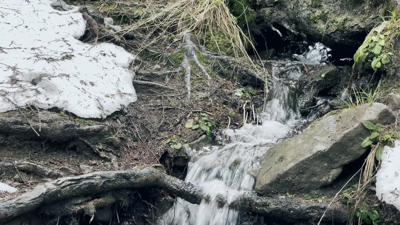 森林里的泉水，融雪。春天风景中的小瀑布。视频素材