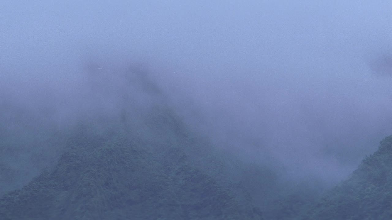 广角的山覆盖在薄雾或雾在夏威夷奥豪。森林或树木覆盖着山。视频素材