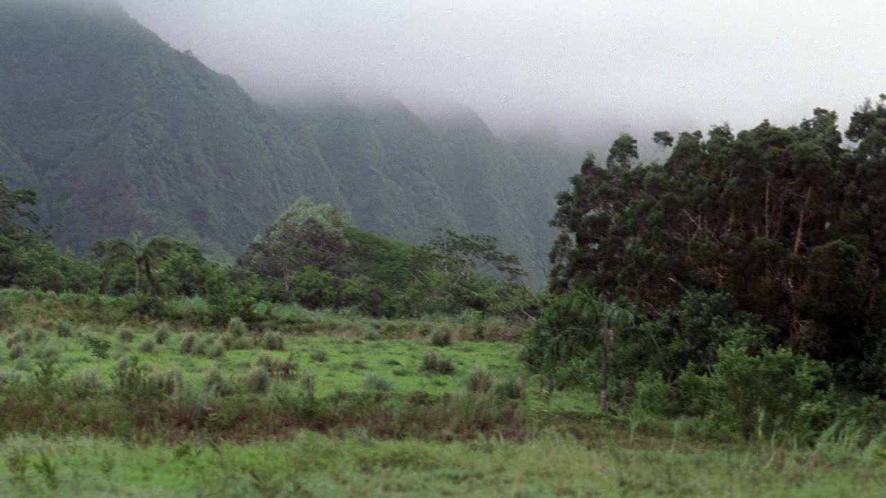 广角的草地，山，树。雾和云。热带雨林。KOOLAU范围。视频素材