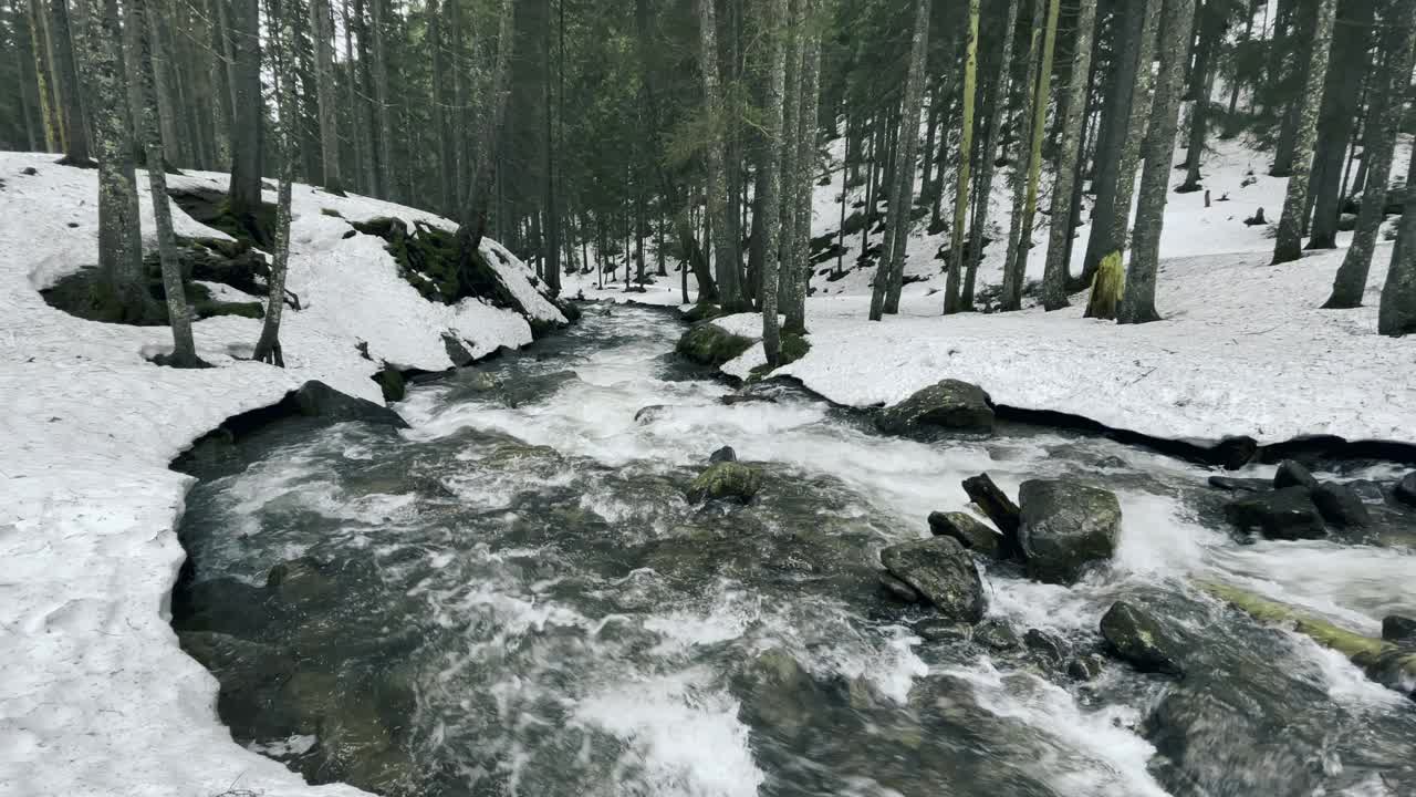 河中冬天森林有雪。冬天的水流穿过岩石的急流视频素材