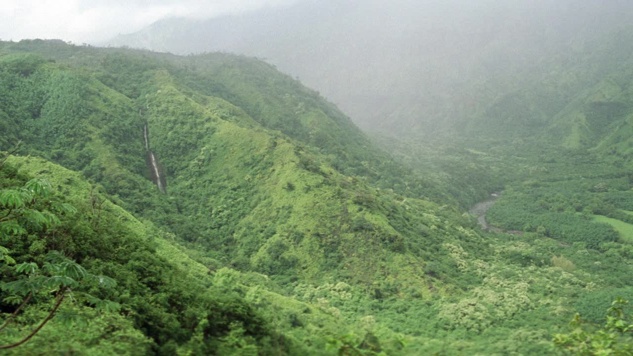 夏威夷瓦胡岛的库劳山脉的广角。森林和树叶。瀑布在山上在bg。棕榈树。雾或雾在bg。可以是热带雨林。视频素材