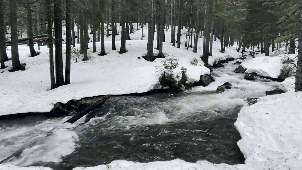 河里的巨石和冬天的雪。冬天森林里的快流。山区河流。视频素材