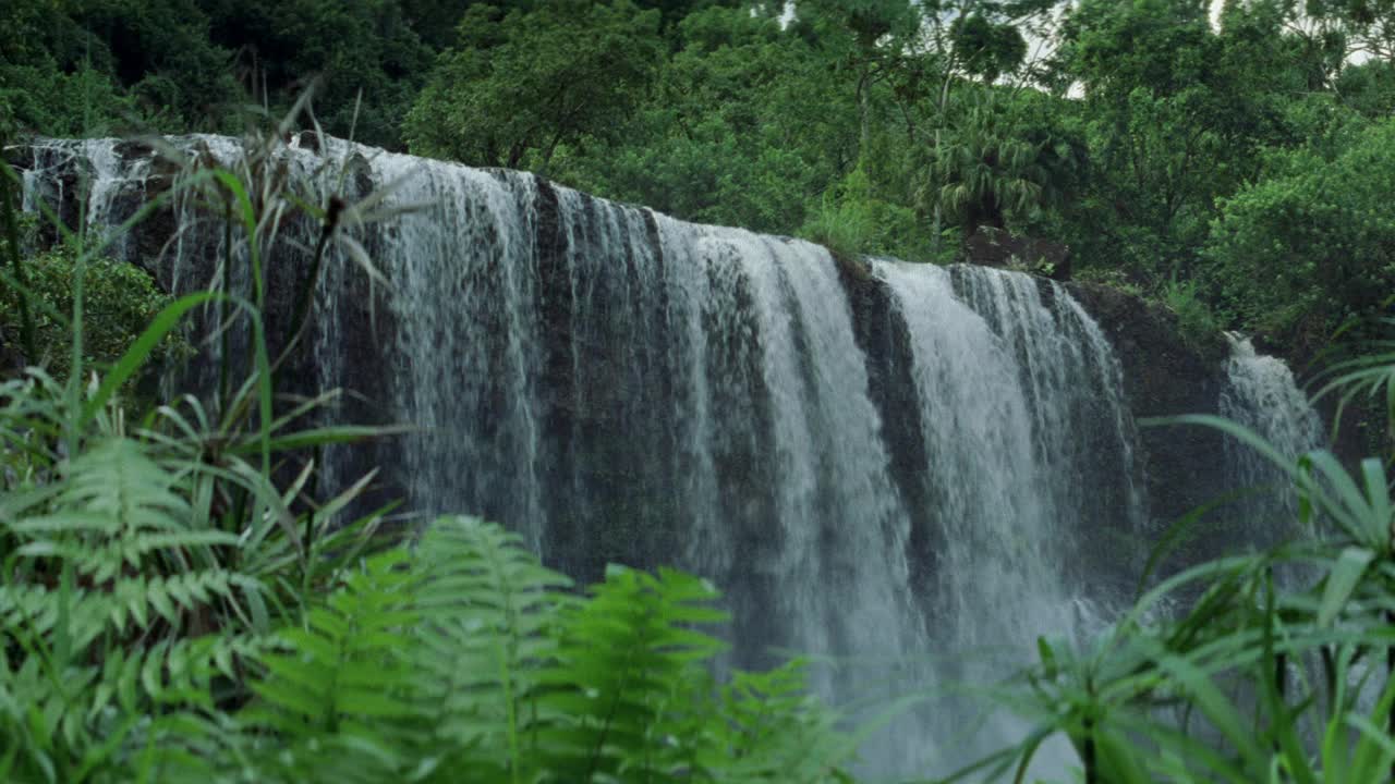 广角小瀑布在丛林或森林或森林。甚至水流过瀑布的边缘。棕榈树，蕨类植物和岩石。可以是热带环境或热带雨林。视频素材