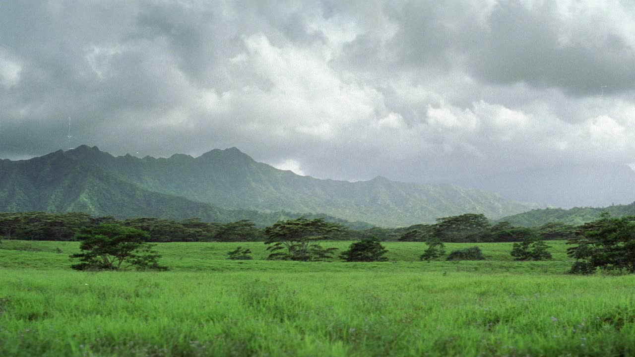 广角草地和树木的背景山。丛林或热带雨林设置。可能是夏威夷或非洲大草原。云层环绕着bg的山顶。视频素材