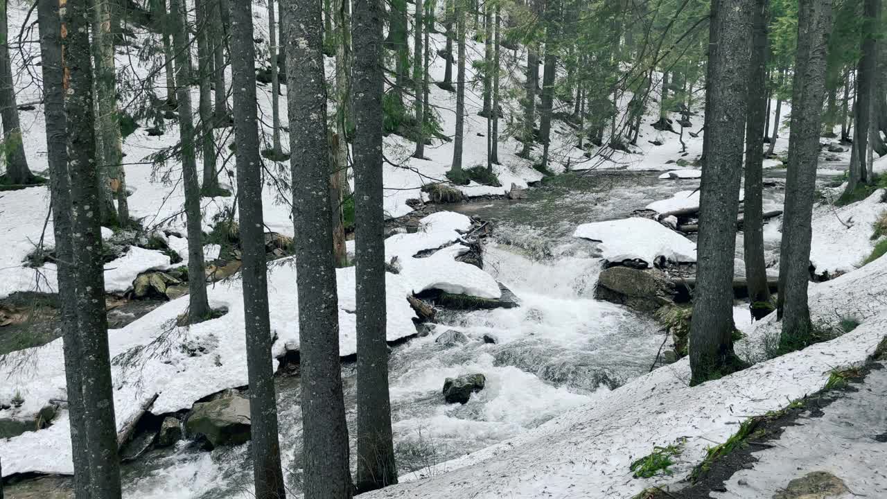 冬天森林里的快河。快速的小溪在树林里的巨石间流动视频素材