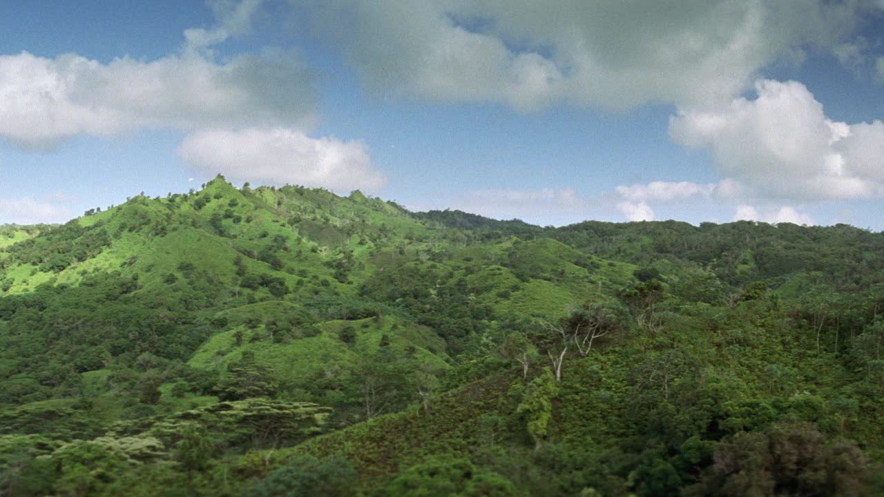 丛林山的广角与树木和树叶。热带雨林设置。可能是夏威夷或非洲。云在BG。视频素材