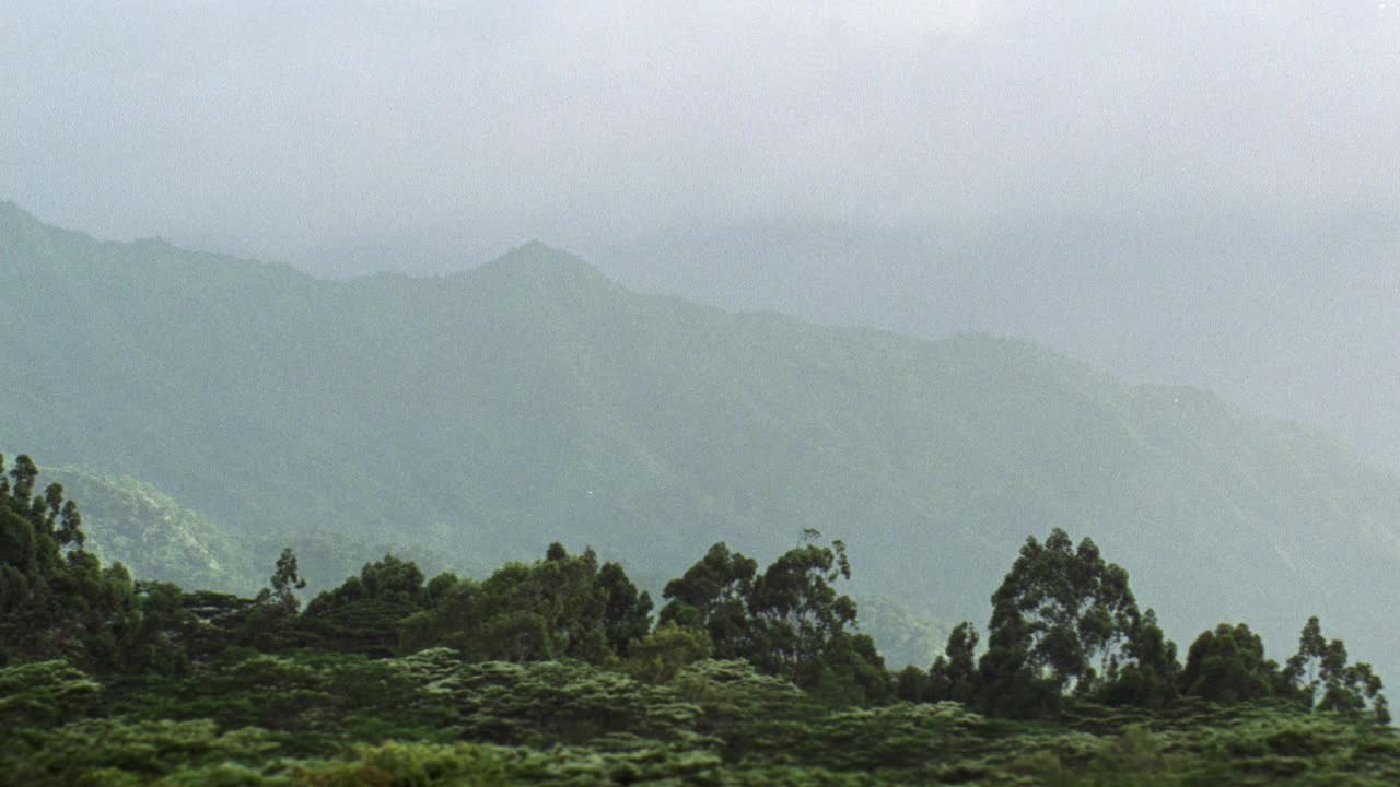 从右到左的山脉和岩石。在岩石山丘上可见叶和树。丛林。可以是荒野或热带雨林。视频素材