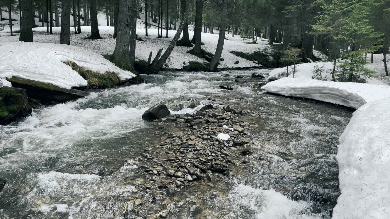 河在雪在冬天的看法。春天的小溪流淌在森林里，融雪。视频素材