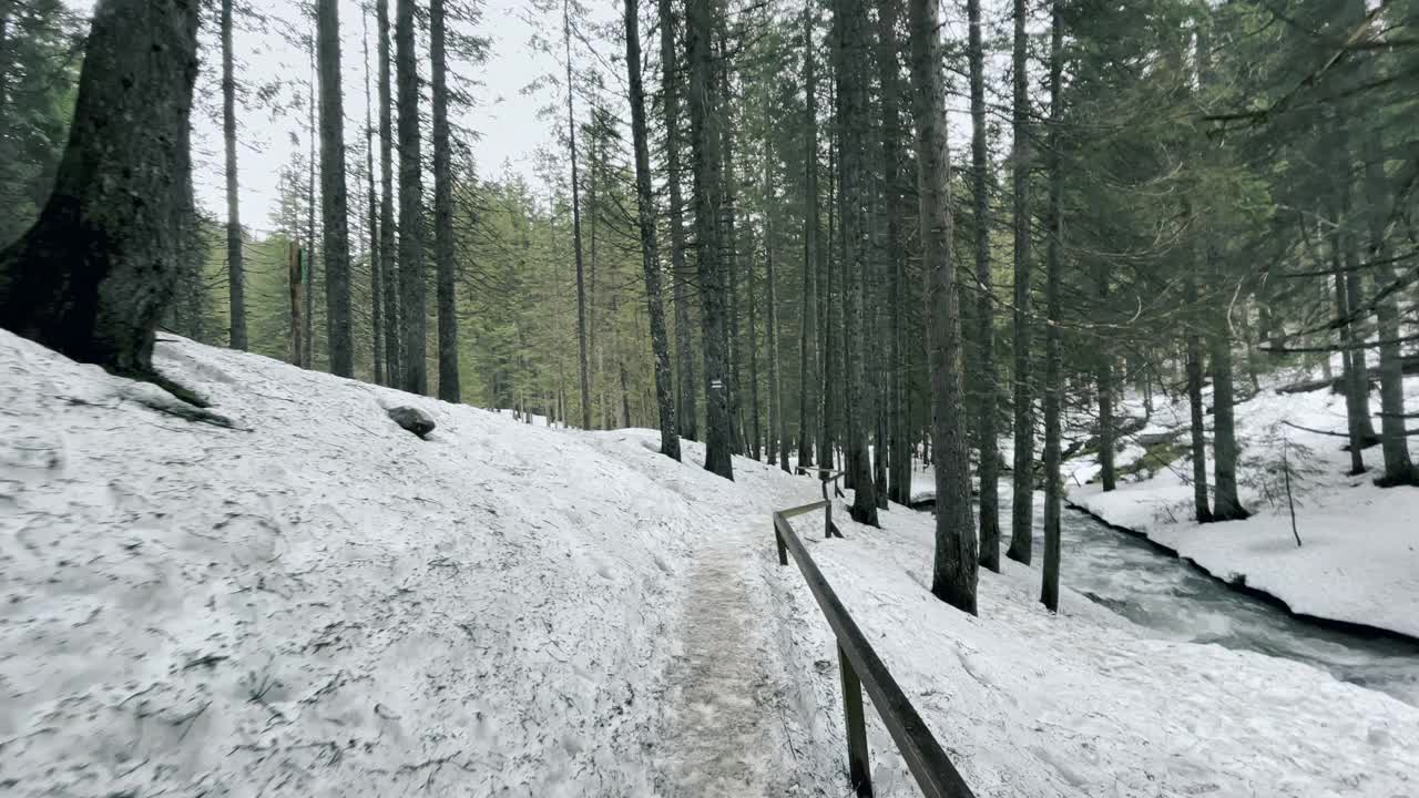 道路在冬天的森林沿着暴风雨的河流。在树林和小路上融化的雪。视频素材