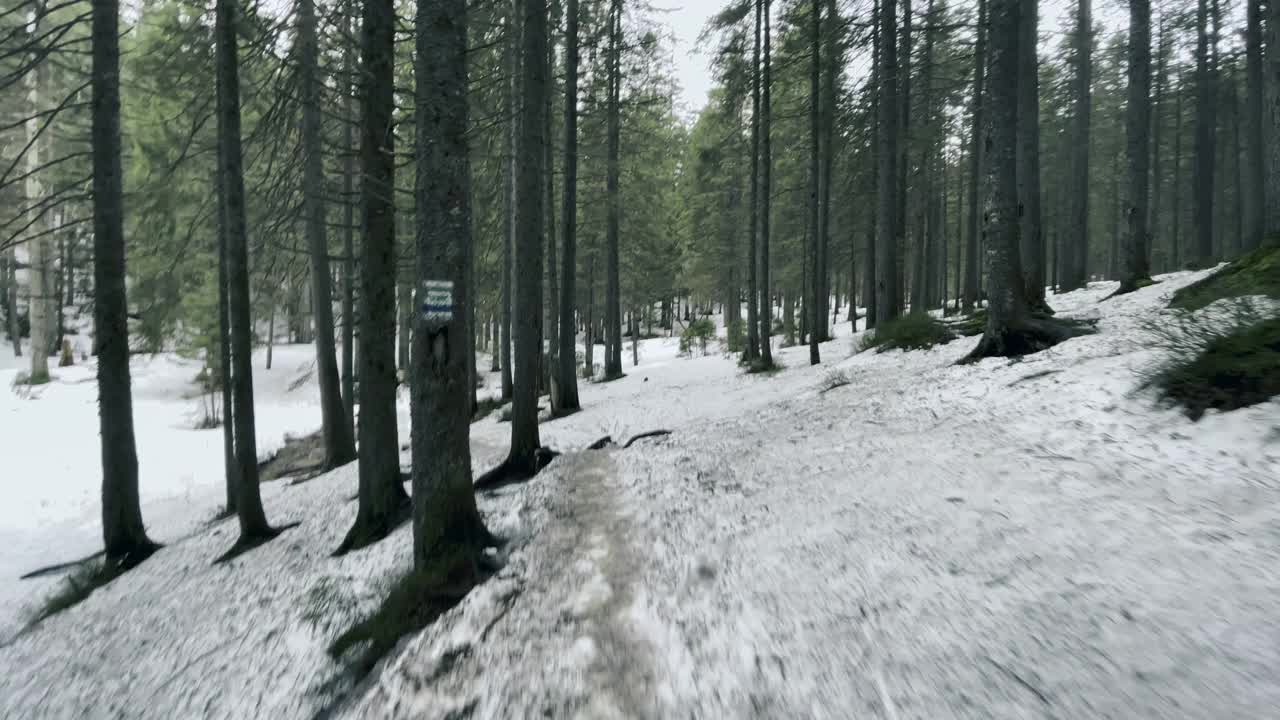 通往森林小溪的路。森林中的自然道路，融雪和湍急的溪流。视频素材